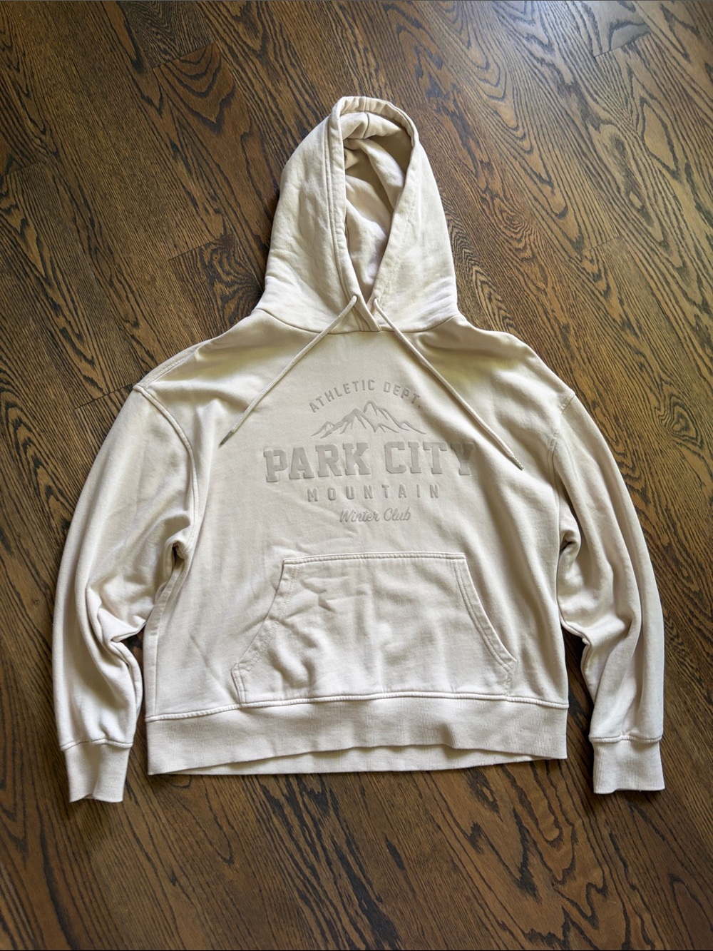 Garage Park City Mountain Tan Hoodie